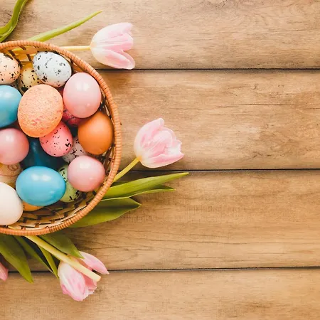 Select ホテル エルムスホルン